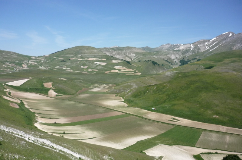 Castelluccio e le sue Helix ligata - H. delpretiana